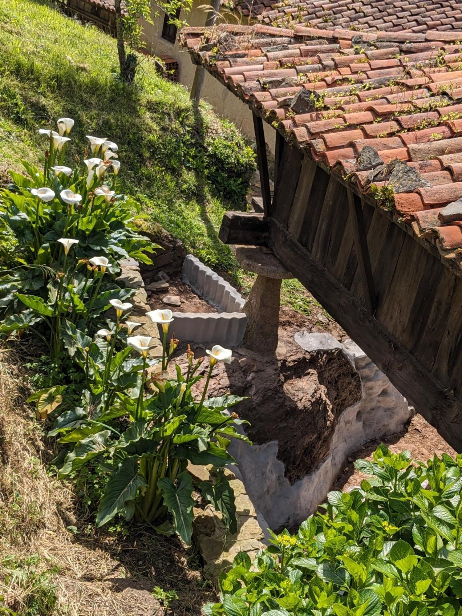 Las Casas De Isu Villaviciosa  Buitenkant foto